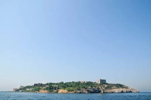 Demokrasi ve Özgürlükler Island