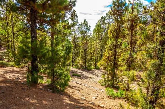 Parque Natural Corona Forestal