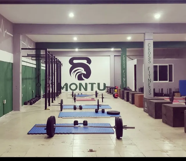 Montu Cross Fitness