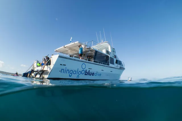 Ningaloo Blue Dive