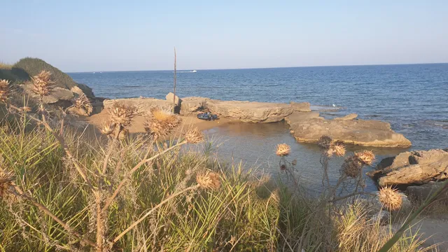 photo-2