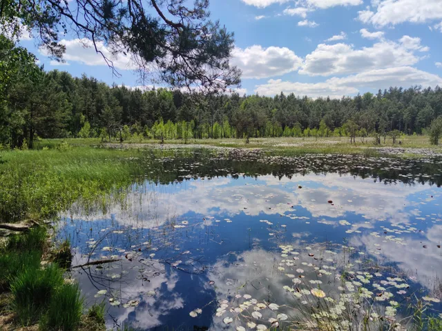 Rezerwat przyrody Czarci Dół