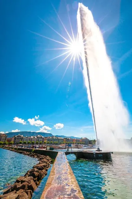 Dolphin Discovery St Kitts