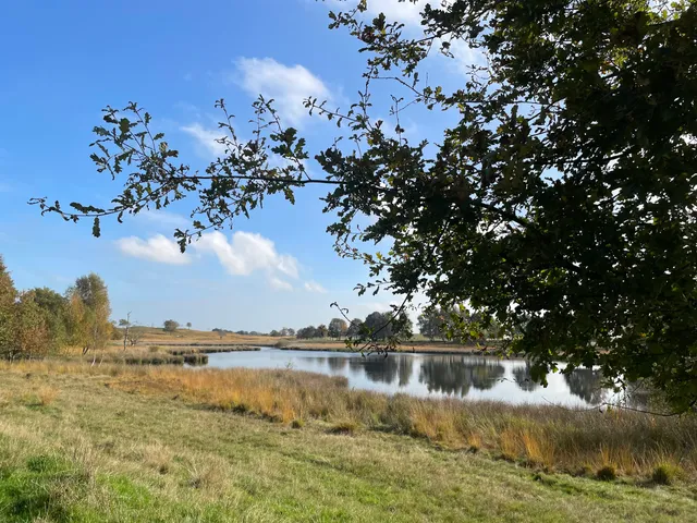 Obere Treenelandschaft