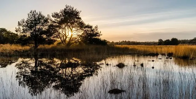 Oude Buisse Heide
