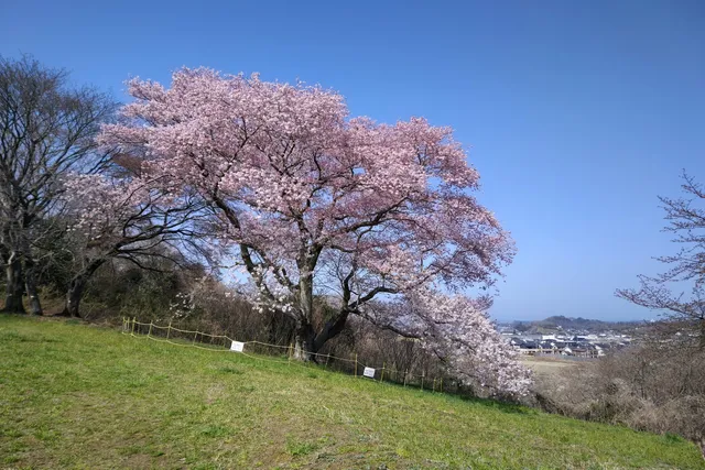 Daigigakoi Shell Mound