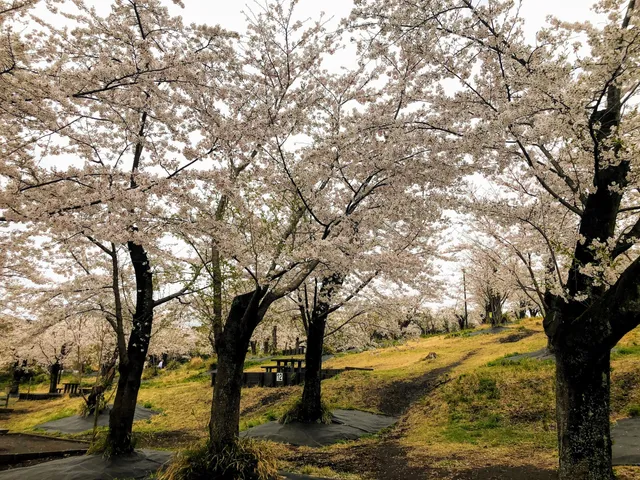 Children's natural park barbecue Square
