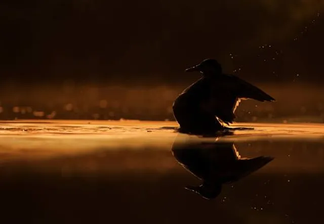 Parque Acuático Amapulapa