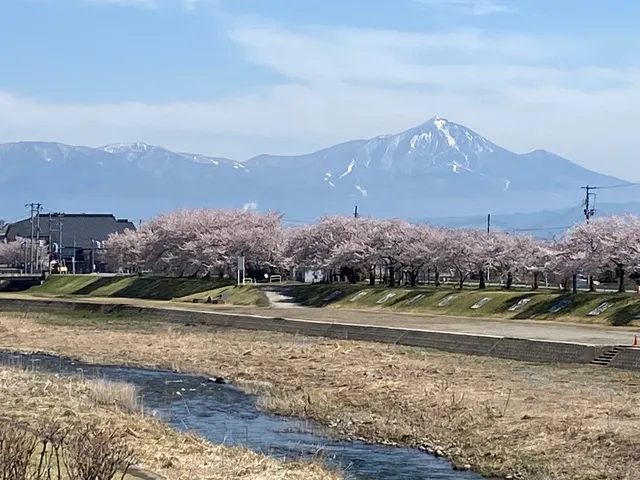 Miyagawa Senbonzakura