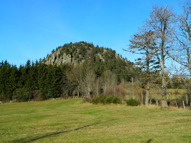 photo-1