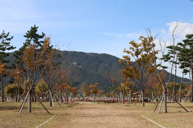 Hwangsan Cultural Sports Park