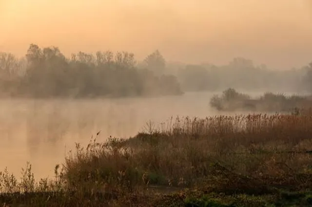Amwell Nature Reserve