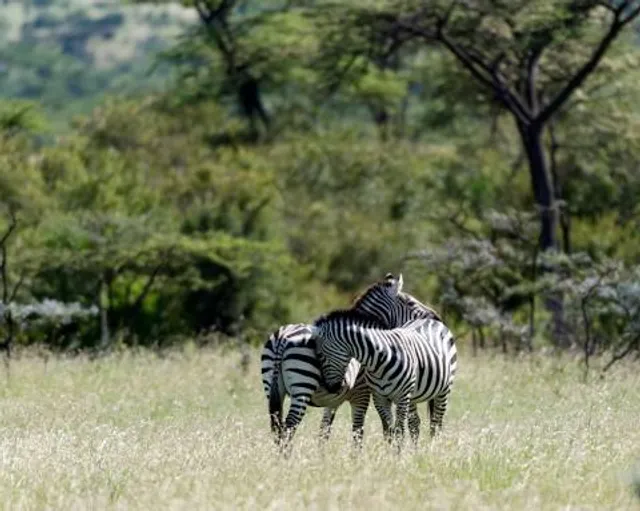 uMshwathi Local Municipality