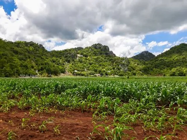 Suling Hill Malaysia Penang