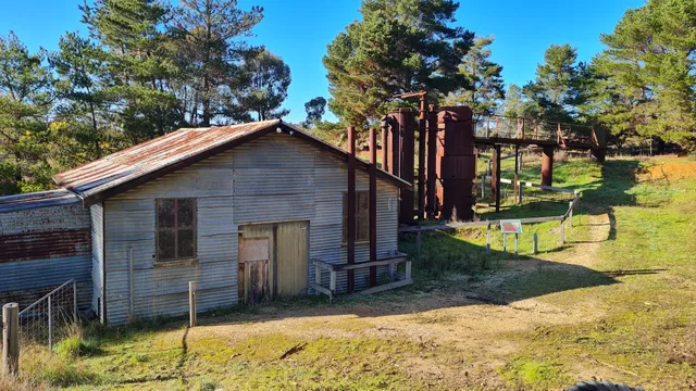 Forest Creek Historic Gold Diggings
