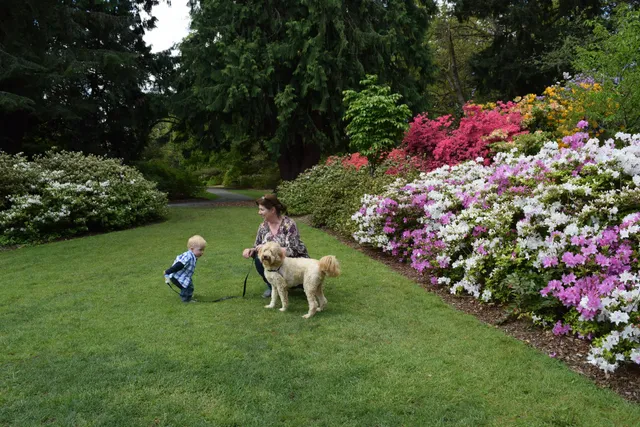 Arboretum Foundation