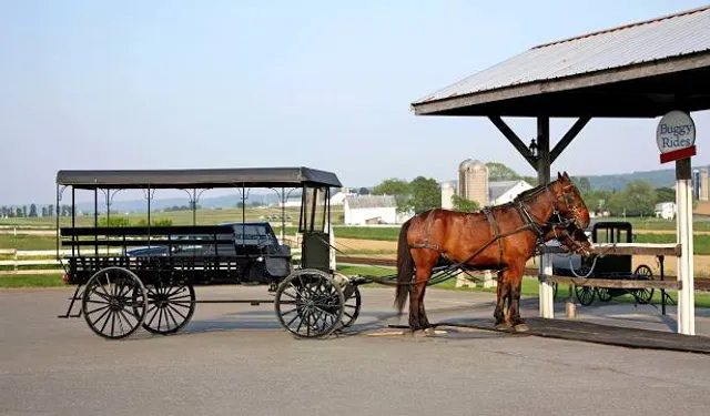 Aaron and Jessica’s Amish Buggy Rides