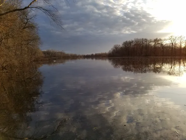Arlington Wetlands