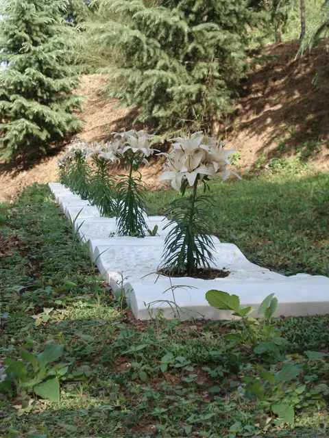 Fondazione Il Campo dell'Arte