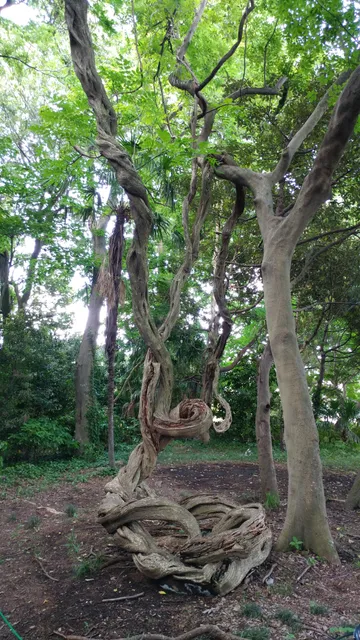 photo-1