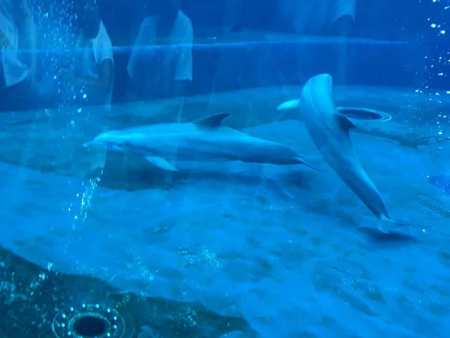 Costa Edutainment S.p.A.