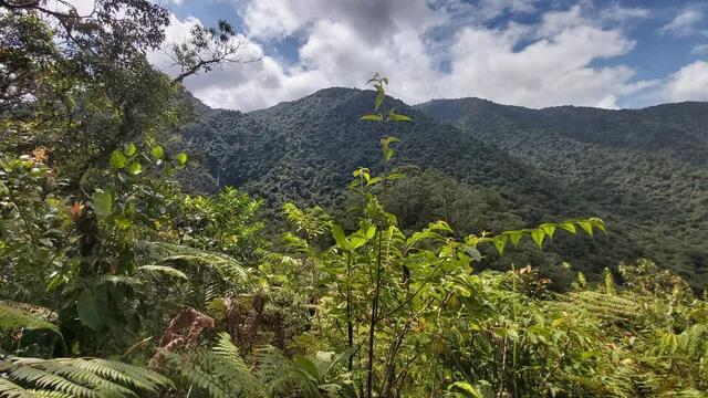 Parque Nacional Tapantí - Macizo de la Muerte