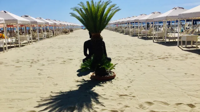 Bagni Danio Beach Club