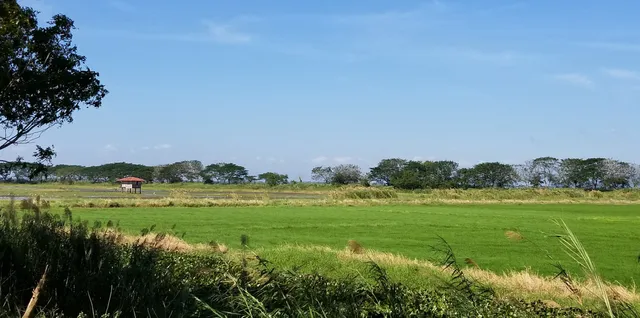 Candaba Bird Sanctuary