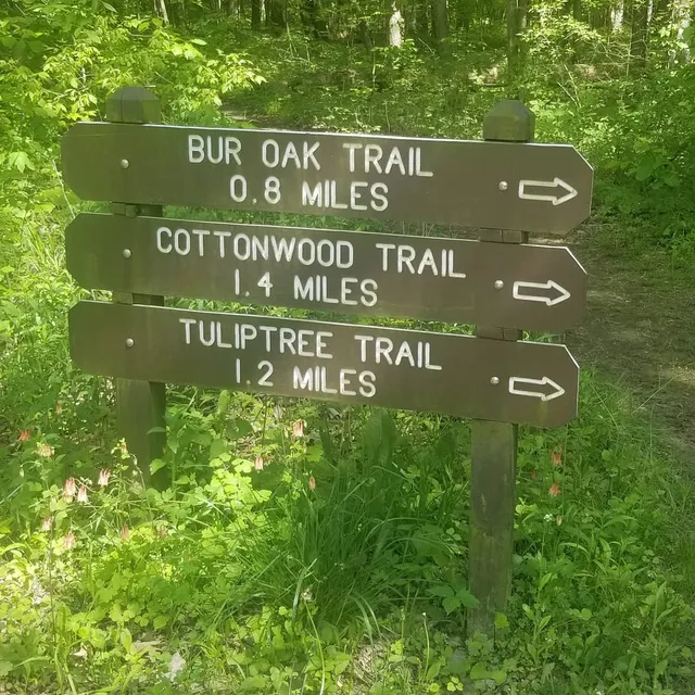 Goll Woods State Nature Preserve