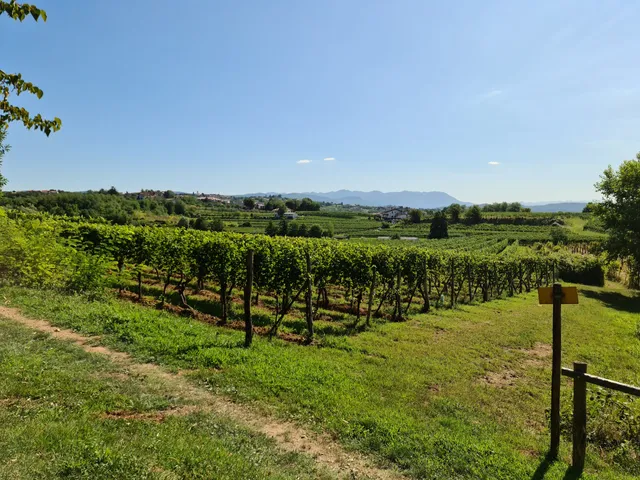 Bosco Plessiva - ingresso Nord