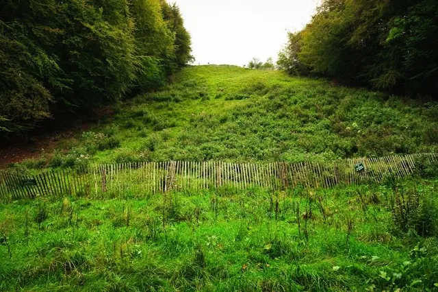 Coopers Hill nature reserve