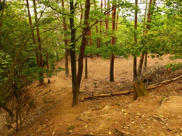 Koriyama Honjo Castle Ruins
