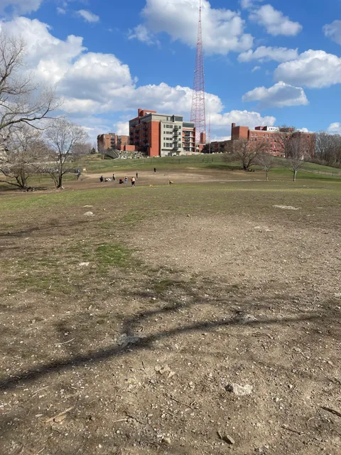 Penn Valley Off Leash Dog Park