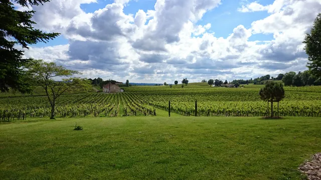 Château Petit Mangot