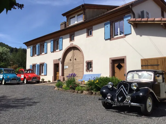 Bluets et Brimbelles