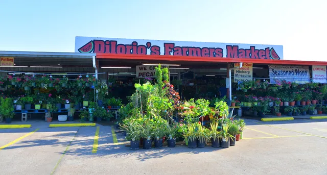 DiIorio Farms Partnership/Farmers Market