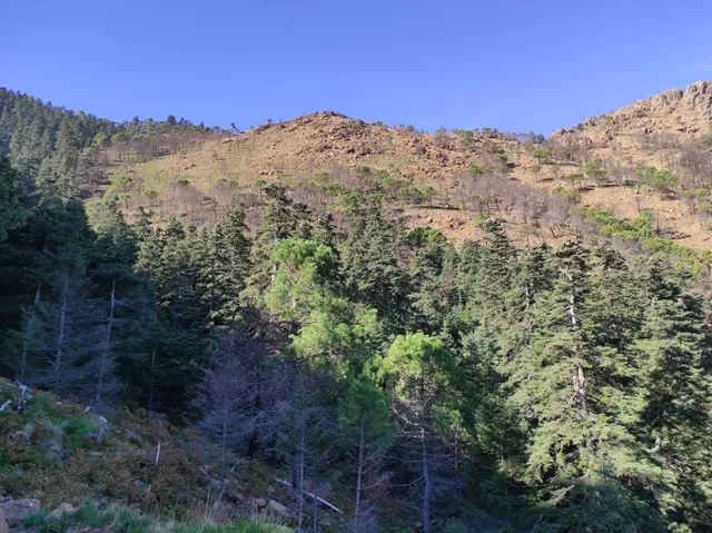Paseo del Pinsapar. Senderismo. Estepona. España