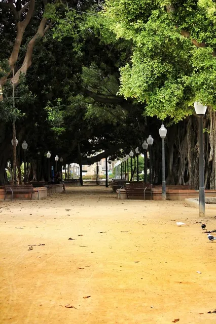 Canalejas Park