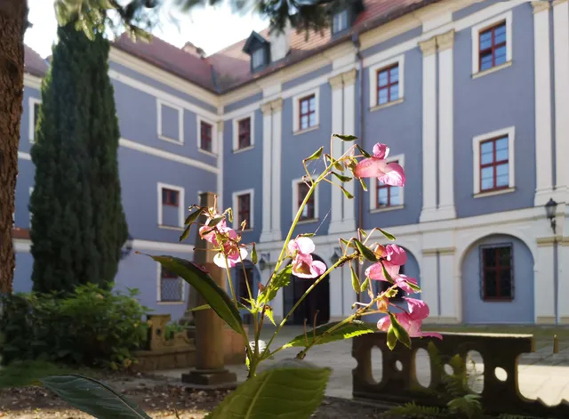 Museum of the Kłodzko Land