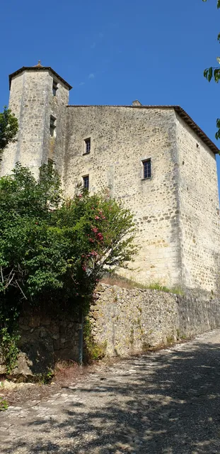 Château de Montbron dit "le vieux château"