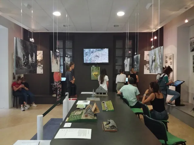 Musée Carrefour des Patrimoines