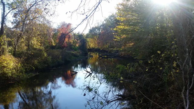 Wildlands Trust - Great River Preserve