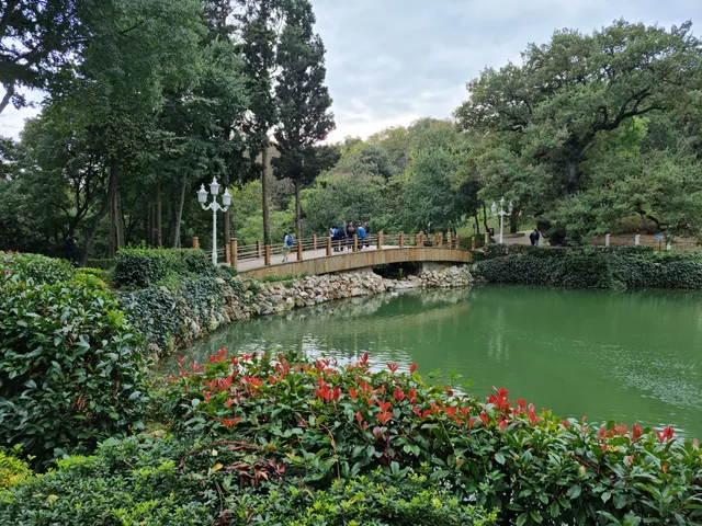 Yıldız Park