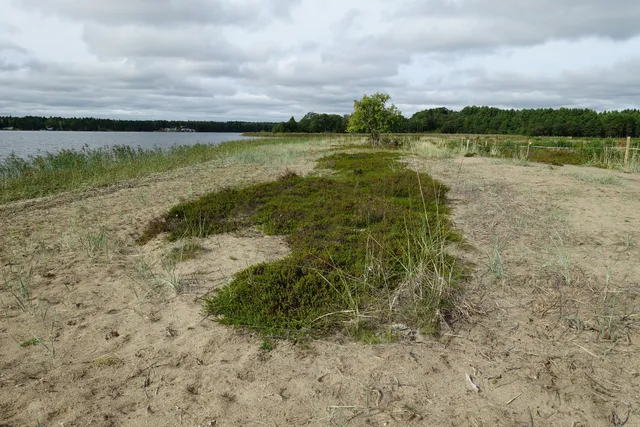 Stenöorns naturreservat