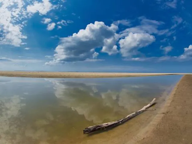 The Raven Nature Reserve