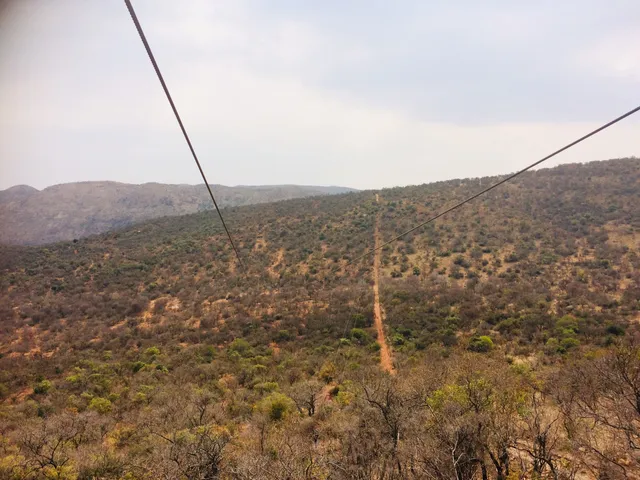 Koepel Mega Zip Adventures