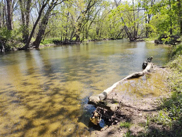Hague Road Nature Haven