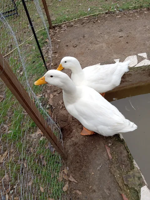 Haunted Shadows Lake Trail