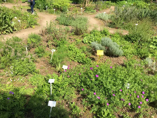 Heilpflanzengarten im Schloss Park