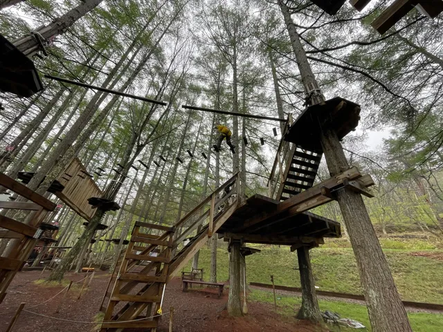 Forest Adventure TATESHINA